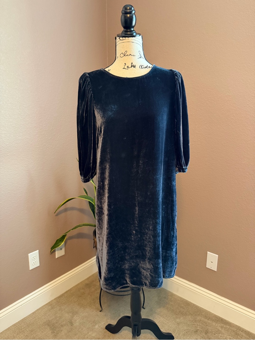 Velvet by Graham & Spencer Midnight Velvet Short-Sleeve Swing Dress